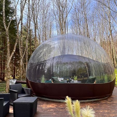 Saint-Évarzec Logement Insolite "Bubble Jungle" מראה חיצוני תמונה