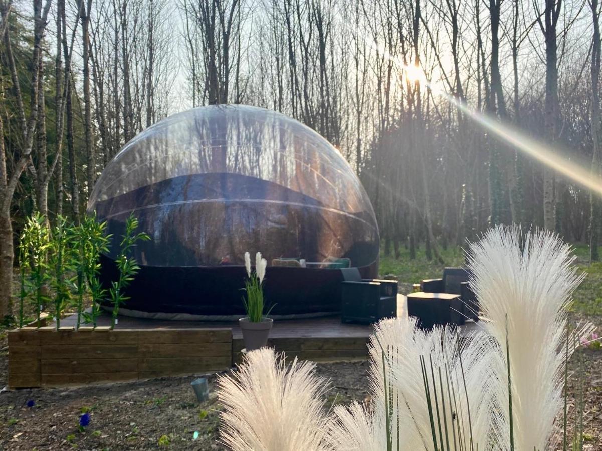 Saint-Évarzec Logement Insolite "Bubble Jungle" מראה חיצוני תמונה