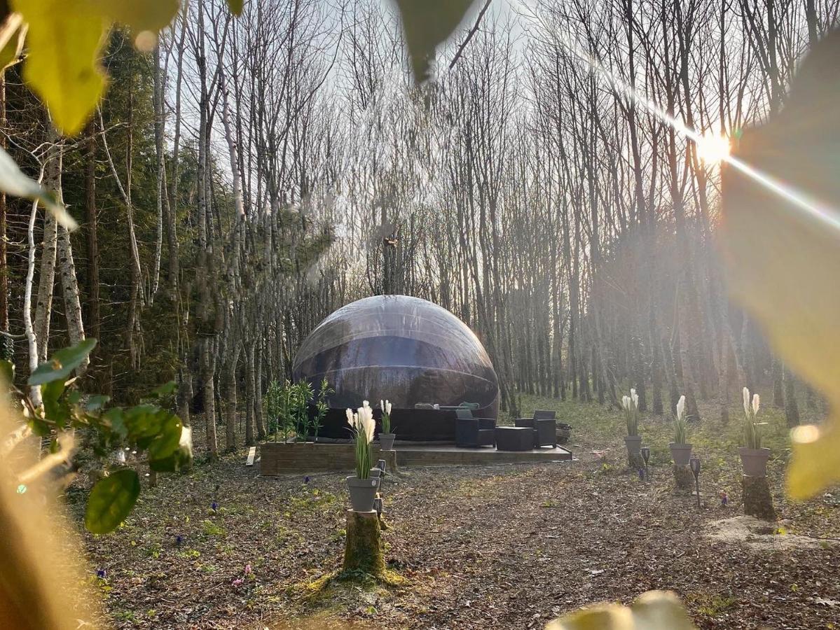 Saint-Évarzec Logement Insolite "Bubble Jungle" מראה חיצוני תמונה